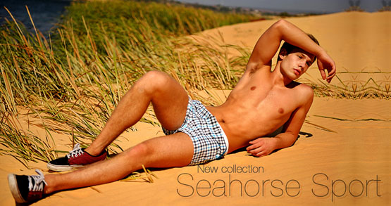 Cho những ngày hè đầy sôi động cùng Seahorse Sport